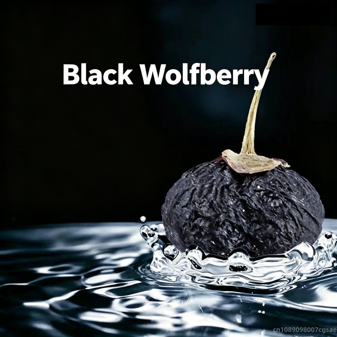 Dried Fruit Mix - Buah Wolfberry Hitam Kering Alami Kualitas