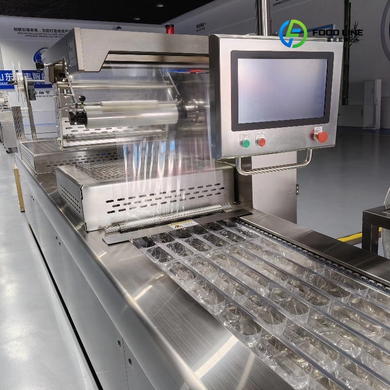 Jerky Beef Pack - Mesin Pengemas Vakum Termoforming Kecil untuk