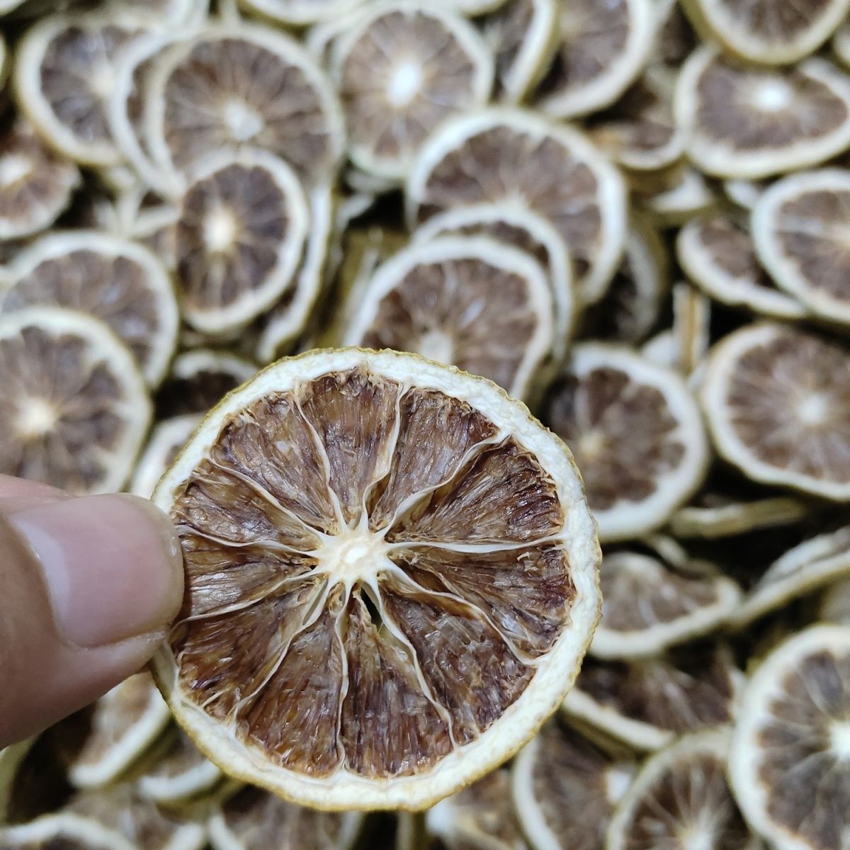 Irisan Grapefruit Jeruk Lemon  - Dried Fruit Mix ulasan dan harga