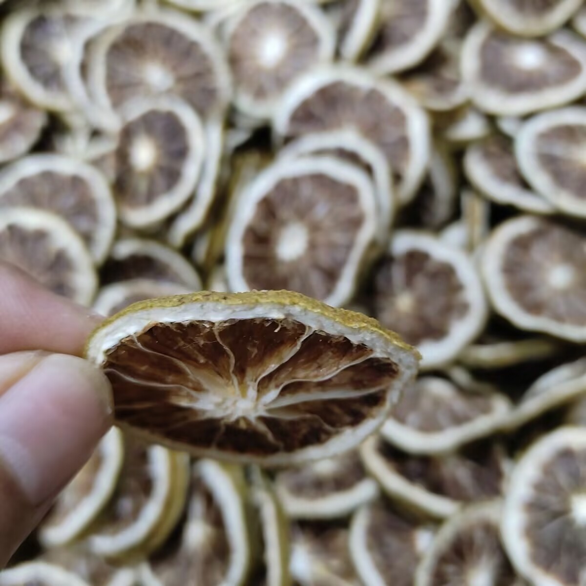 Irisan Grapefruit Jeruk Lemon  - Dried Fruit Mix ulasan dan harga