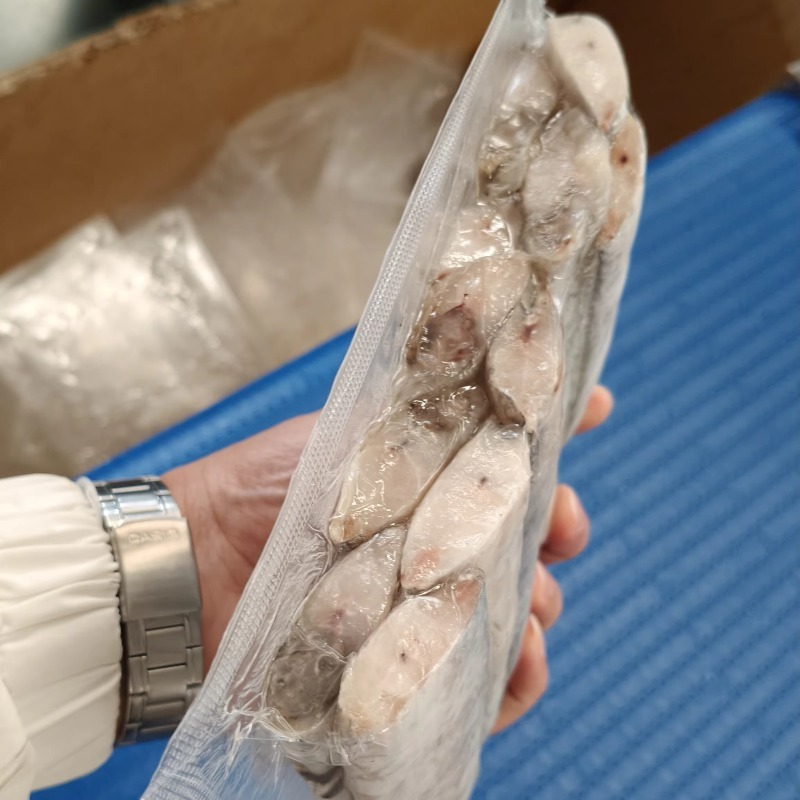 Mesin Pengemas Vakum Termoform - Jerky Beef Pack ulasan dan harga