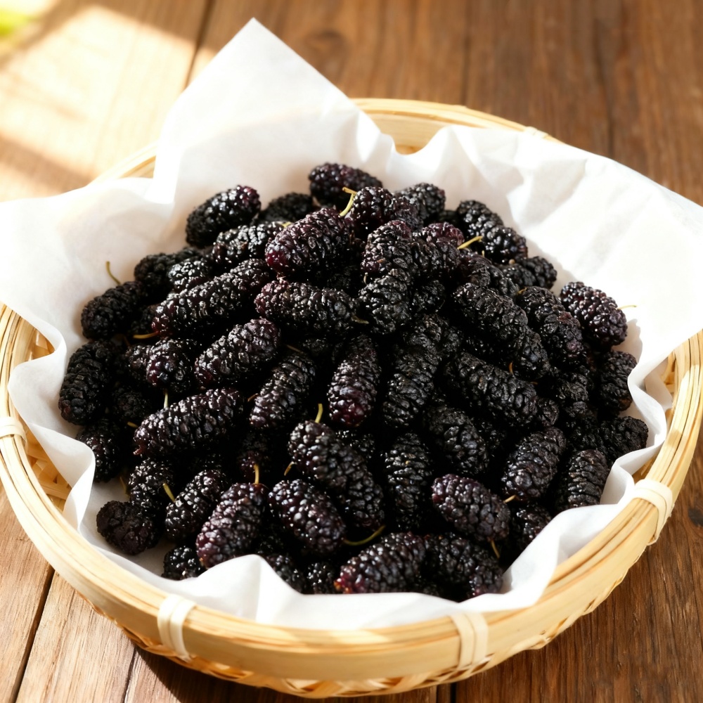 Buah Mulberry Kering Alami Mur - Dried Fruit Mix ulasan dan harga